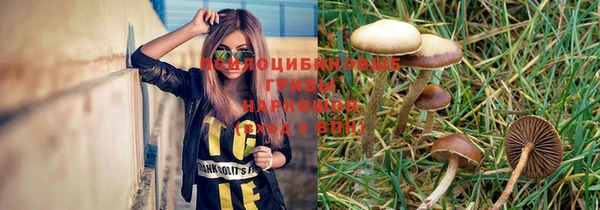 герыч Бородино
