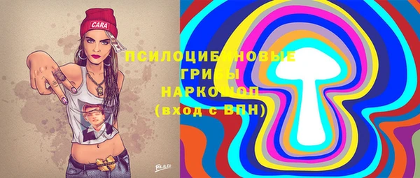 ALPHA-PVP Богородицк