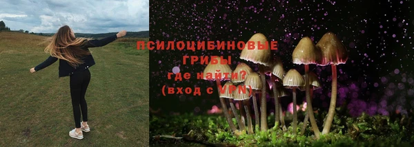 spice Бронницы