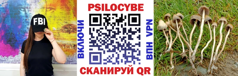 Псилоцибиновые грибы мухоморы  купить  цена  Нарткала 