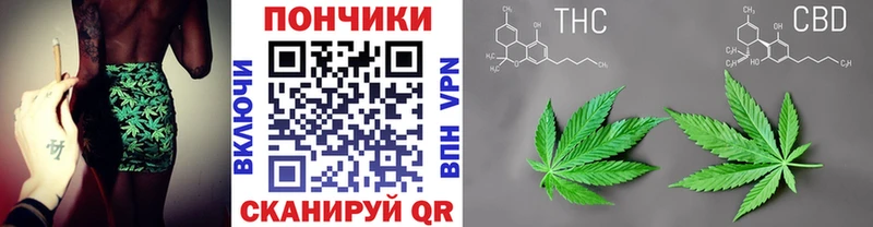 Конопля THC 21%  OMG онион  Нарткала 